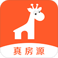 2025精准正版免费资料详情